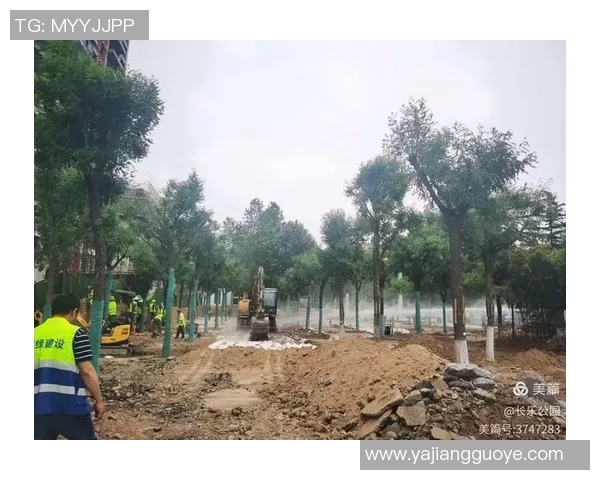 比赛场地维护进展情况汇报及后续工作计划分析