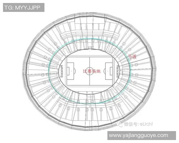 场地条件如何影响比赛结果与运动员表现的深度分析